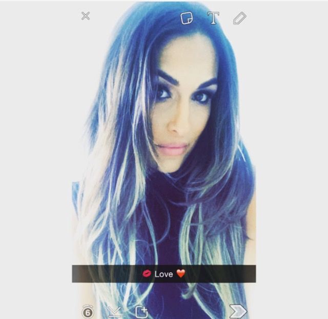 Brie Bella Snapchat Name photo 16