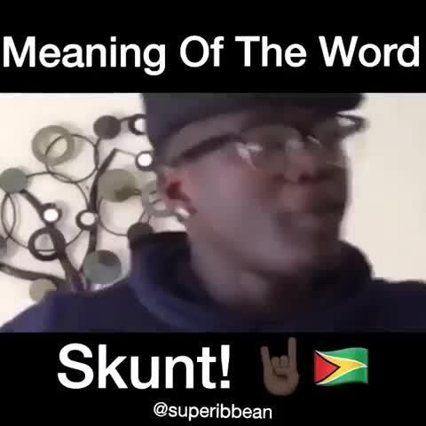 What Is A Skunt photo 18