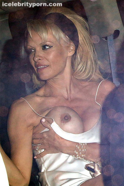 Porn Videos Of Pamela Anderson photo 6