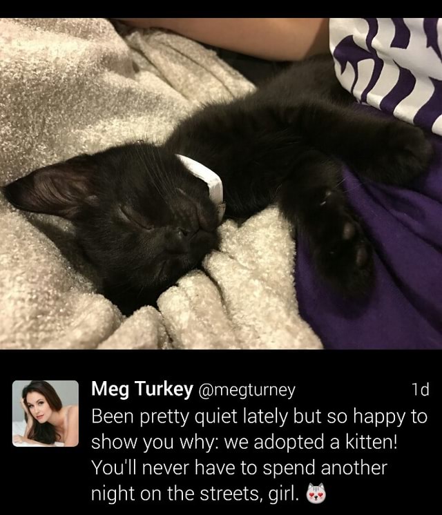 Meg Turney Black Cat photo 13