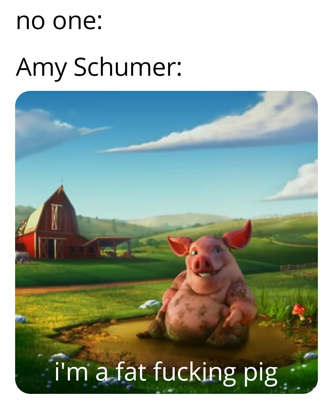 Amy Schumer Fat Pig photo 29