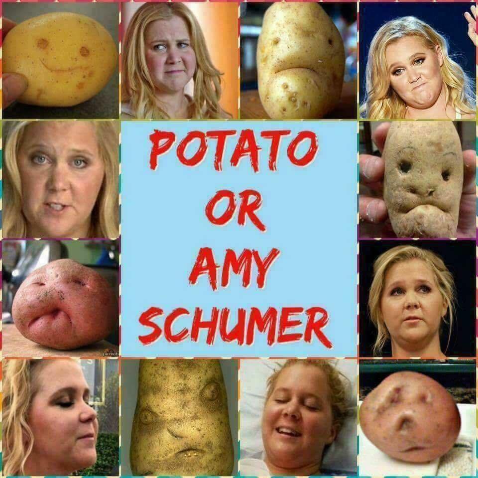 Amy Schumer Fat Pig photo 27