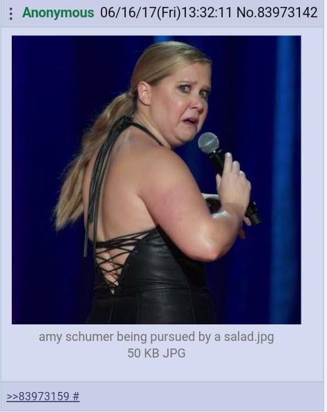 Amy Schumer Fat Pig photo 2