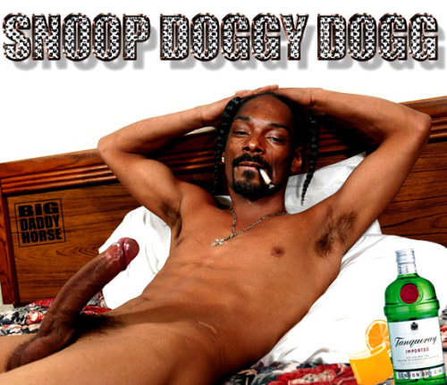 Snoop Doggs Porn Video photo 19