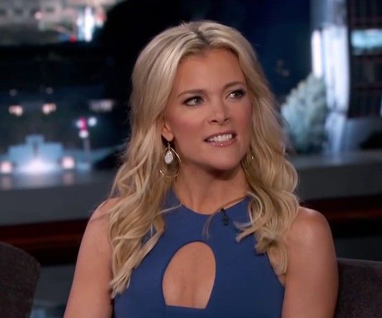 Hot Pictures Of Megyn Kelly photo 22