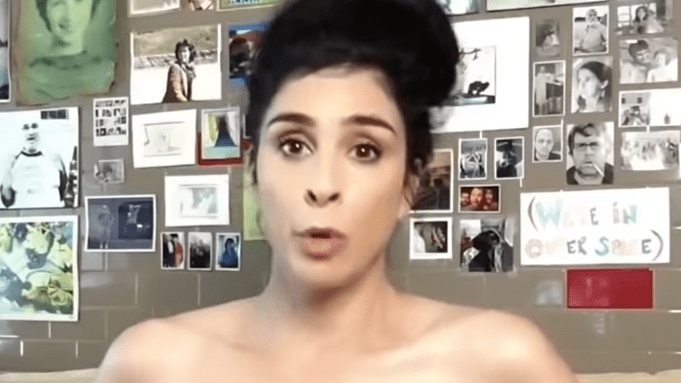Sarah Silverman Naked Pictures photo 16